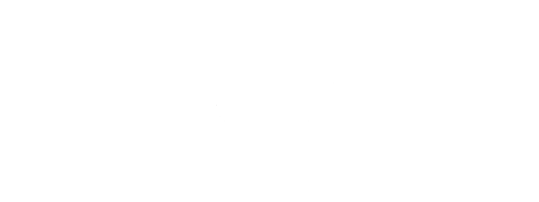 Top Dog Dog Walking